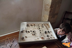 Santa Ninfa 19 11 2016 173.jpg